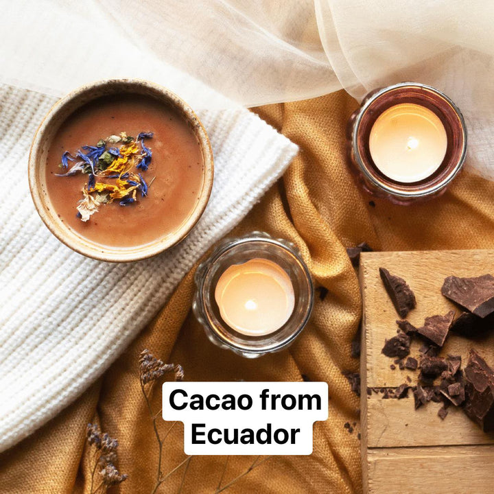 Cacao from Ecuador