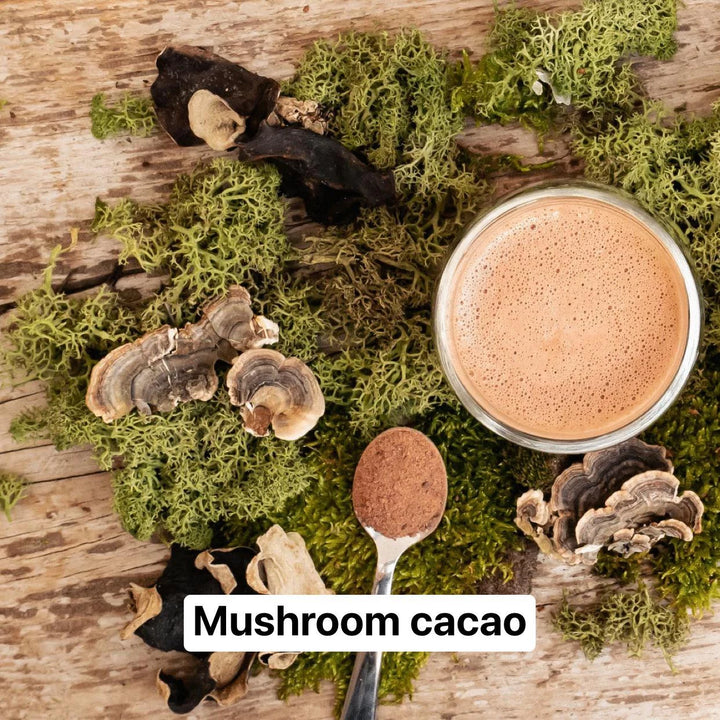 Mushroom cacao