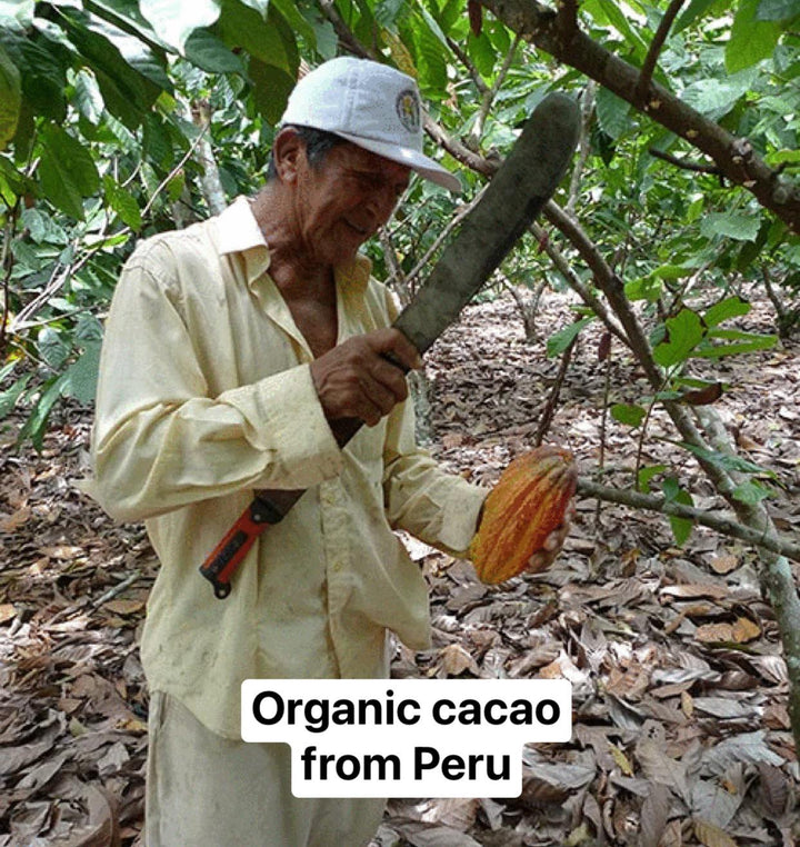 Organic cacao from Peru