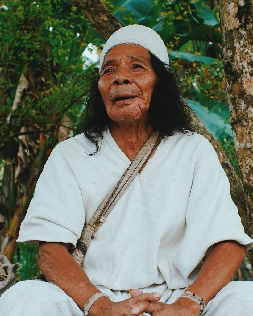 Colombiansk jaguar kakao - Cacaodile