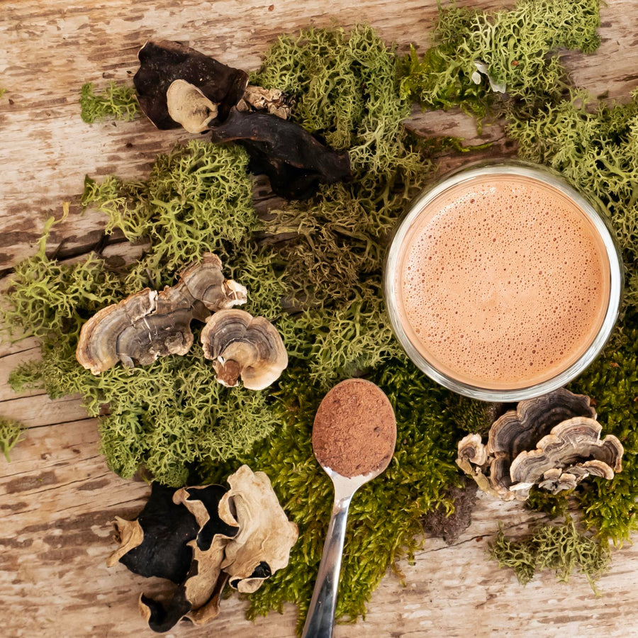 Vital mushroom cacao – Calm Down & Relax 500g