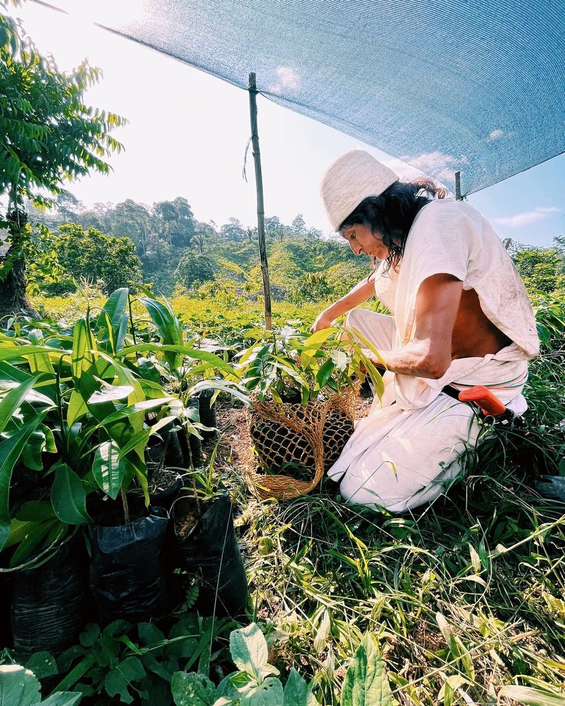 Økologisk håndlaget seremoniell kakaobar fra Colombia 500 gram - Cacaodile