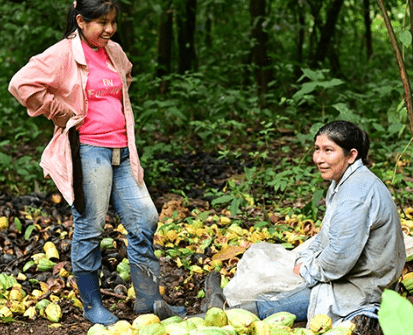 Økologisk vill kakao fra Boliva 450 gram - Cacaodile