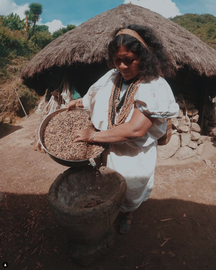 Ceremonial cacao 100% handmade from Jaguar siembra 500gram bar